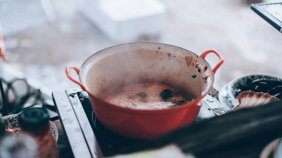Dutch Oven vs Stock Pot for Pasta and Stock